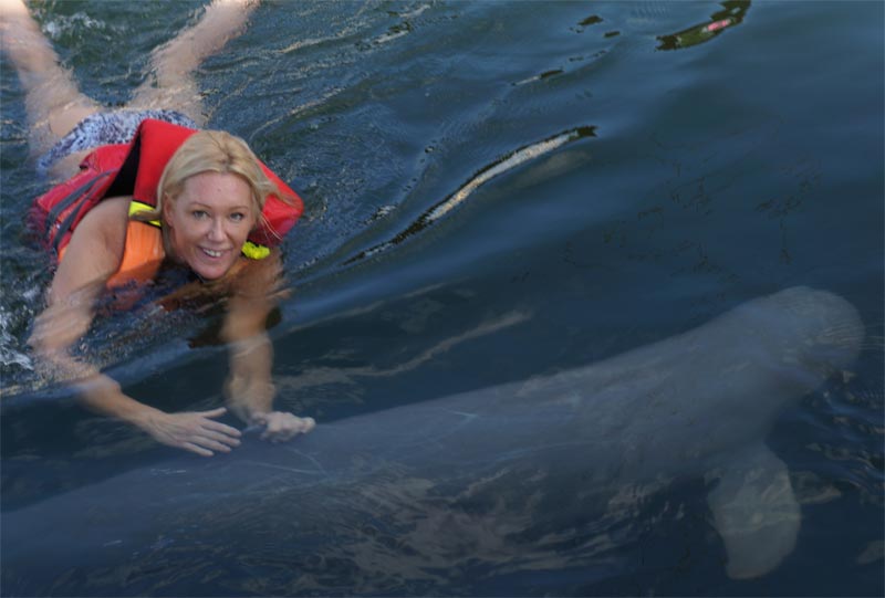 Truly, swim with a dolphin