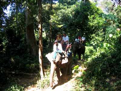 Koh Chang Jungle Trek and Elephant Ride