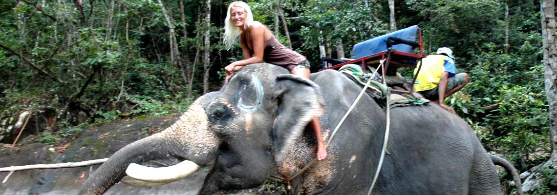 Elephant Trek on Koh Chang