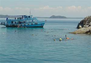 Great snorkeling at Koh Rang