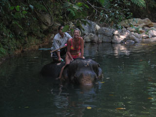 Koh Chang Elephant Trek with Ban Kwan Chang